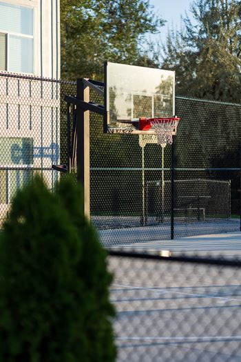 Basketball court